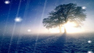 唯美下雪