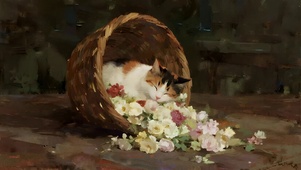 竹筐里睡觉的猫咪