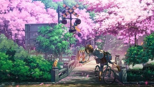 樱花落