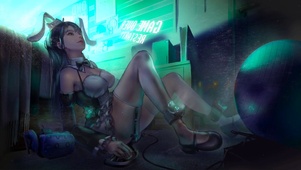 房间的兔女郎