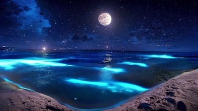 夜晚蓝色荧光海滩