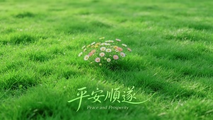护眼草地小雏菊，平安顺遂