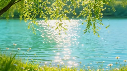 波光粼粼的湖面