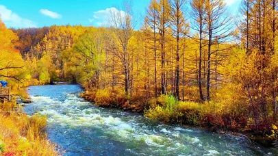 治愈秋韵小河流水4K