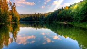 护眼治愈风景