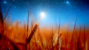 秋夜星空