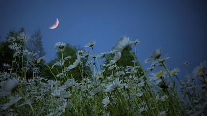 我不知道该怎么形容你