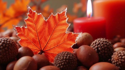 秋季红色枫叶落叶