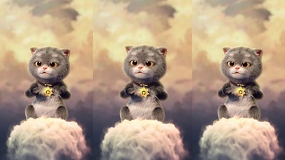 斑布猫-变身大圣