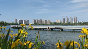 蝶湖