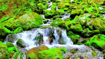 4K清泉石上流水