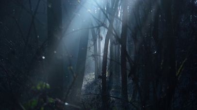 清醒知趣，保持自信