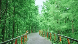 静听雨声，远离声嚣