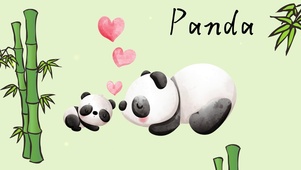 panda