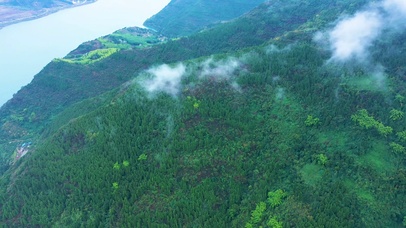 青山白云
