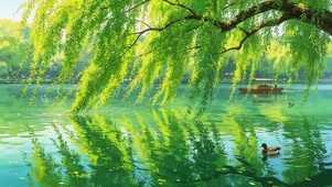 湖面唯美绿色柳树