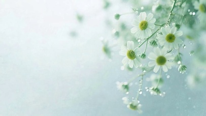 护眼花朵树木