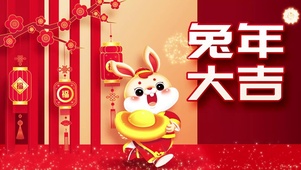 新年兔年大吉抱元宝兔子灯笼