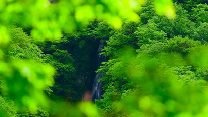 清新护眼山间瀑布