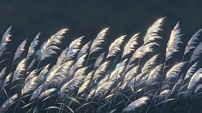微风拂动芦苇