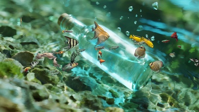 夏季护眼水中小鱼