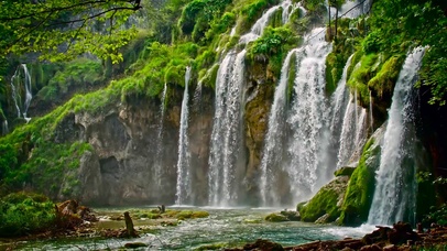 4K林地瀑布美景