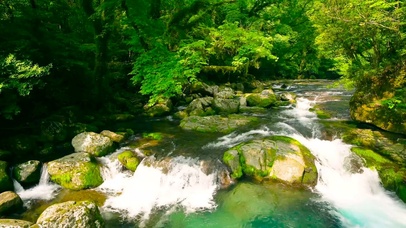 护眼绿林溪水流
