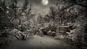 雪月夜思念
