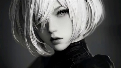 黑白尼尔2B