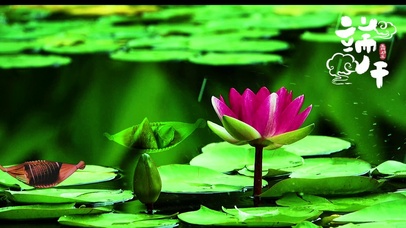 荷叶送粽香端午人安康