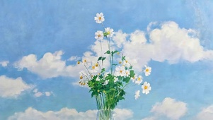 蓝天下白色小花