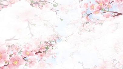 唯美花朵春风十里不如你文字控