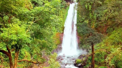 唯美护眼森林瀑布 4K