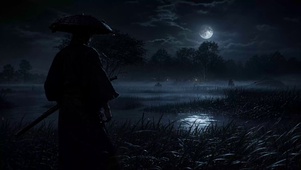 月下武士