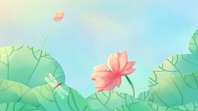 唯美治愈荷花荷叶