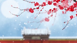 中国古风，冬日限定：寒梅