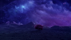 星空樱花树