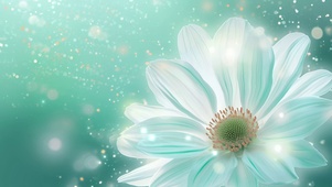 微光白花
