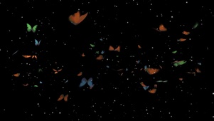 蝶的星空