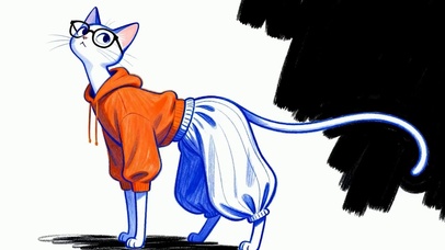 可爱长腿猫咪