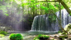夏日绿林溪水瀑布
