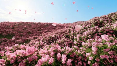 唯美桃花飞舞花海动态壁纸