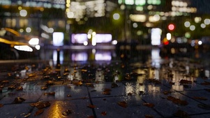 夜晚街头雨