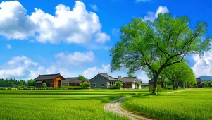 美丽乡村