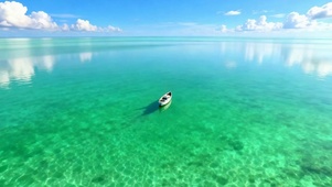 大海