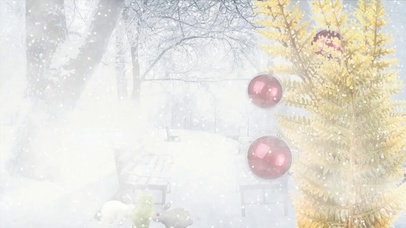 雪 树木 暴风雪