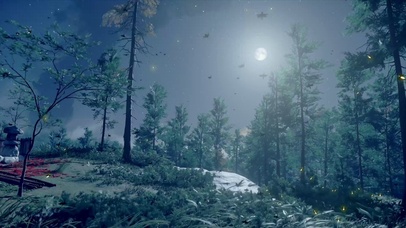 夜晚长星空美，虫鸣蛙叫萤火虫