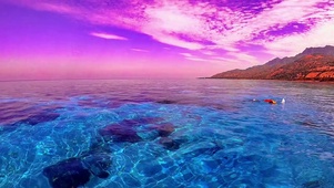 紫色仙境