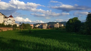 老家的风景~