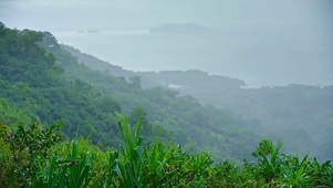 春雨绵绵 